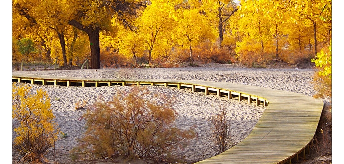 有一种勇气就叫做放弃